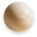 The white coral
