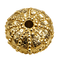 Sea urchin