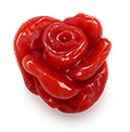 The coral rose