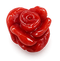 The coral rose