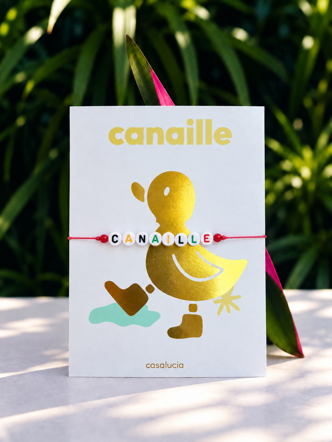 Canaille – bracelet, sur sa carte